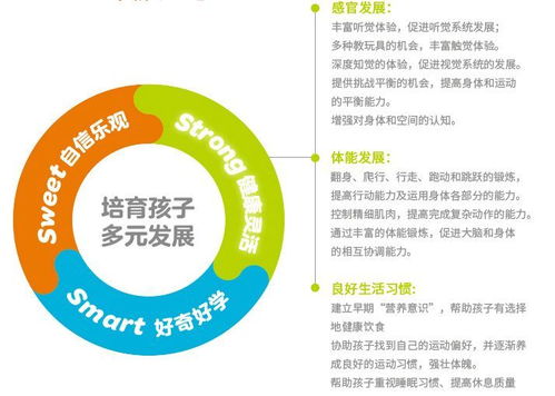 金寶貝早教課程全面升級 0-3歲全齡段覆蓋與3S多元發展理念下的教學軟件創新開發