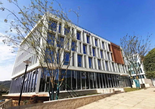 湘江科創(chuàng)基地一期獲批省級孵化器，為區(qū)域創(chuàng)新發(fā)展注入新動能